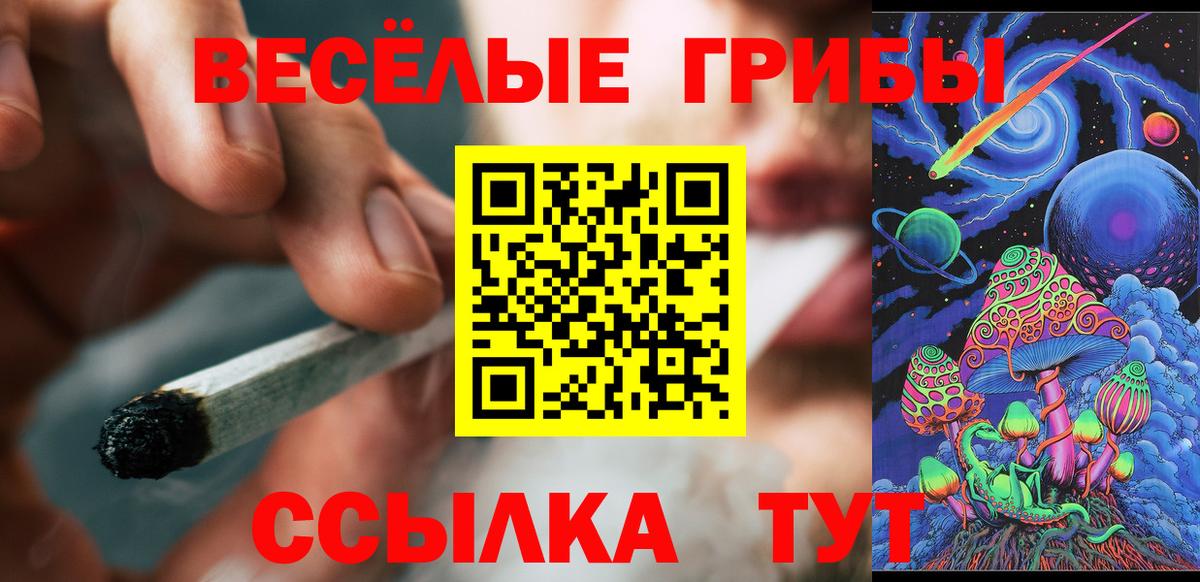 Шелехов  Псилоцибиновые грибы мицелий  купить наркоту  Вход с VPN 