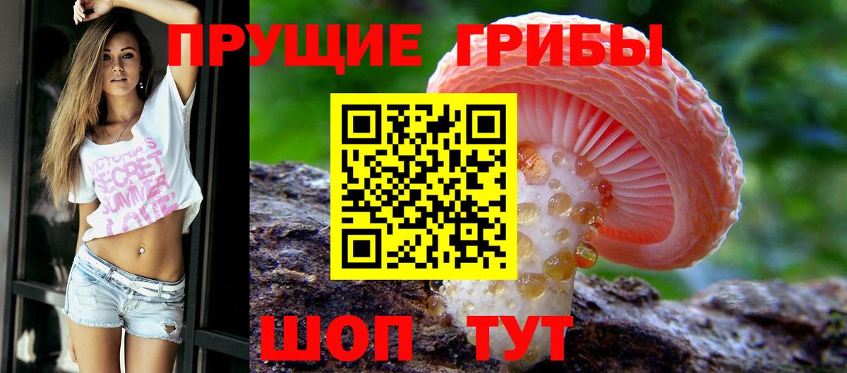 Галлюциногенные грибы Magic Shrooms Шелехов